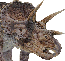 Triceratops's Avatar